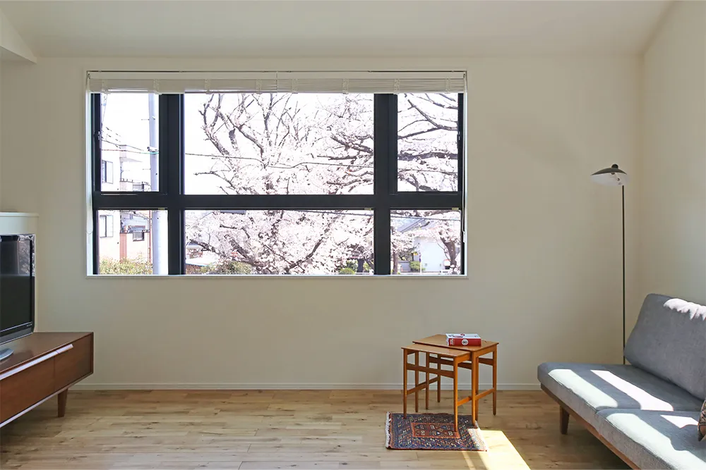 大きな窓から桜を楽しむスタイリッシュな家