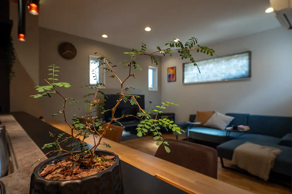 美しさと快適さを両立するモダンな平屋住宅