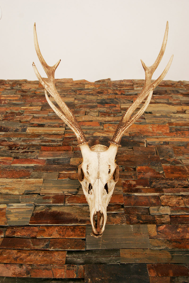 リゾートのようなウッドデッキ！グラフィックデザイナーのモダンな家